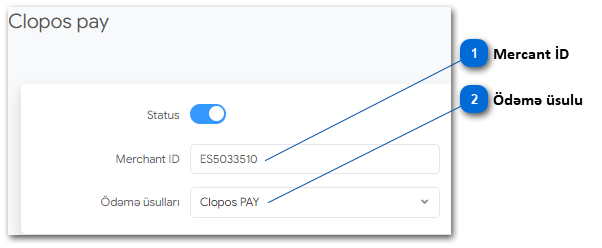 1.4.7. Clopos PAY